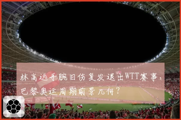林高远手腕旧伤复发退出WTT赛事,巴黎奥运周期前景几何?