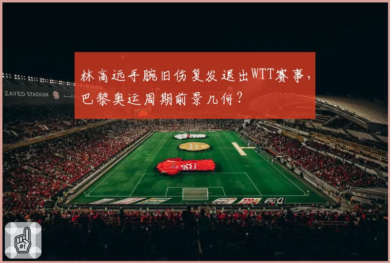 林高远手腕旧伤复发退出WTT赛事，巴黎奥运周期前景几何？