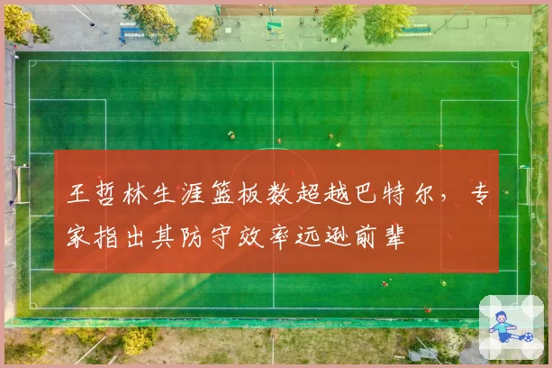 王哲林生涯篮板数超越巴特尔，专家指出其防守效率远逊前辈